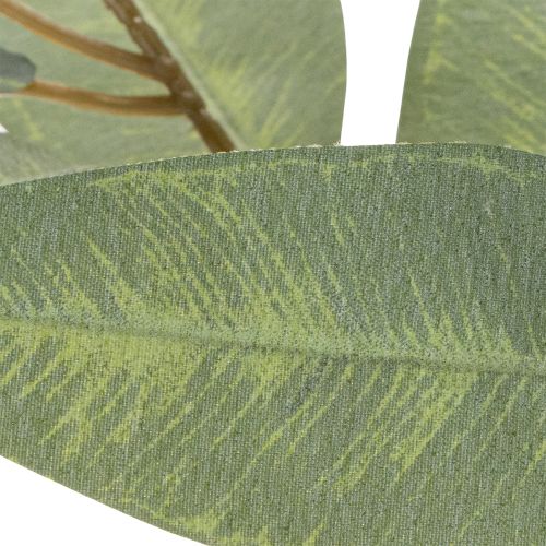Ramo artificiale di eucalipto, verde naturale, decorativo, 100 cm | Floristik24.it