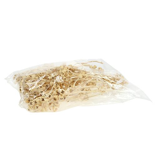 Prodotto Ramo di eucalipto sbiancato 25pz