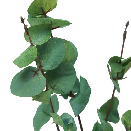 Prodotto Ramo di eucalipto artificiale eucalipto verde 64 cm