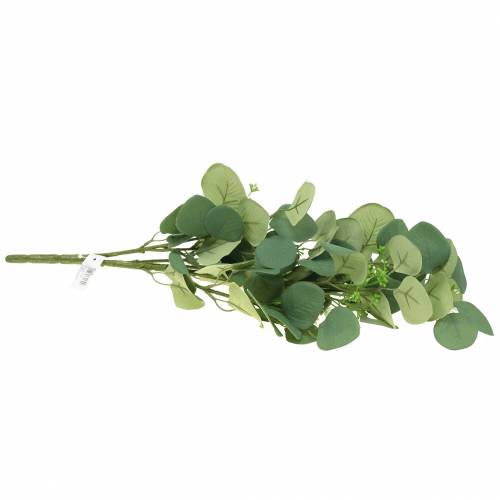 Floristik24 Ramo di eucalipto 52 cm