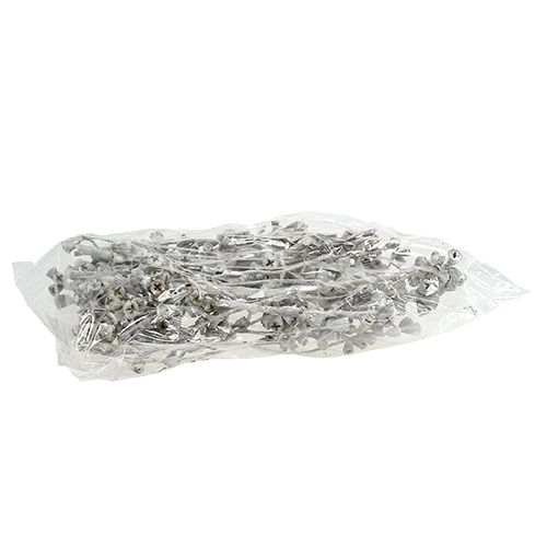 Prodotto Ramo di eucalipto sbiancato 25 pz