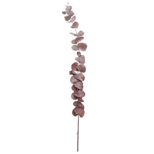Prodotto Rami di eucalipto, eucalipto conservato, fiori secchi, rosso, 75 cm, 150 g