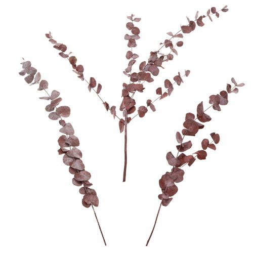 Prodotto Rami di eucalipto, eucalipto conservato, fiori secchi, rosso, 75 cm, 150 g