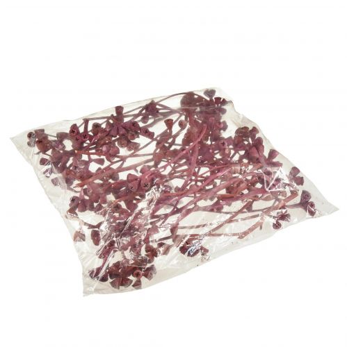 Prodotto Rami di eucalipto rosso satinato decorazione naturale esotica 25 pz