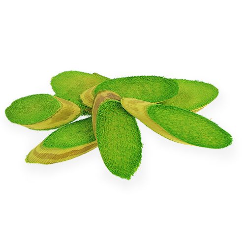 Floristik24 Dischi decorativi in legno verde primavera 300g