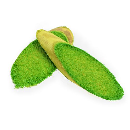 Floristik24 Dischi decorativi in legno verde primavera 300g
