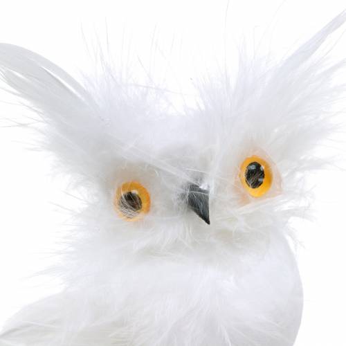 Floristik24 Gufo decorativo su clip bianco 10 cm 4 pezzi