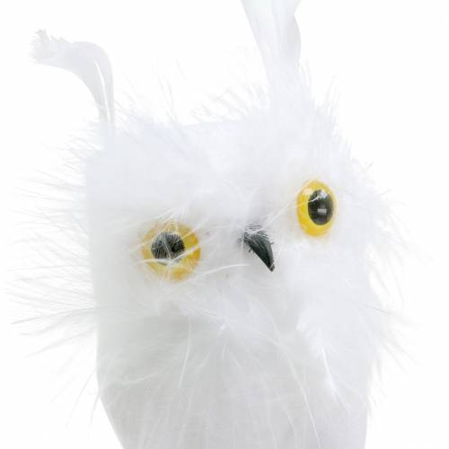 Floristik24 Spina decorativa gufo bianco 10 cm 2 pezzi