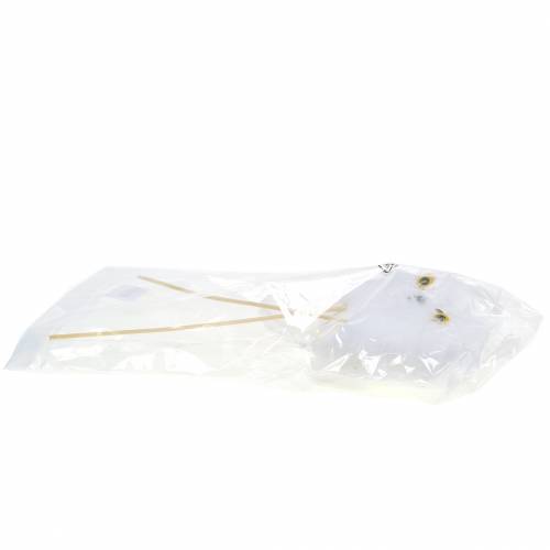 Floristik24 Spina decorativa gufo bianco 10 cm 2 pezzi
