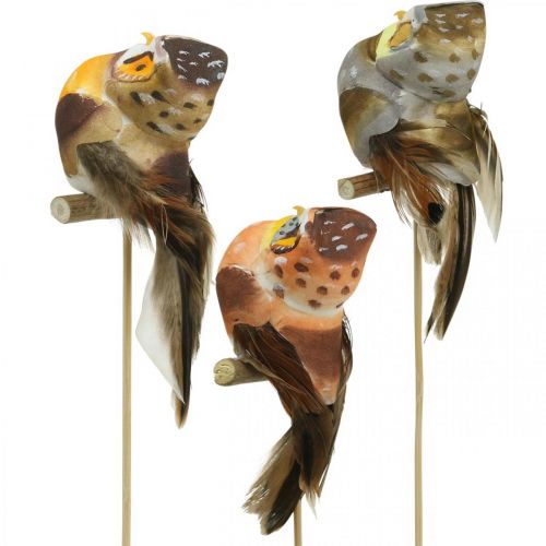 Prodotto Deco plug gufo, decorazione floreale, gufo con piume H5,5cm 6pz