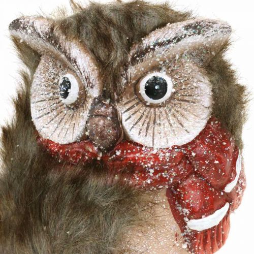 Floristik24 Gufo decorativo in ceramica con sciarpa Figure decorative invernali H15 cm 2 pz