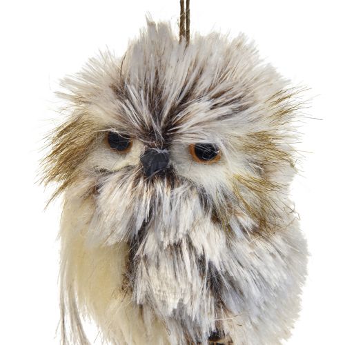 Floristik24 Decorazione gufo figure di gufo piccole, decorazione animali della foresta 11 cm bianco-marrone 2 pezzi
