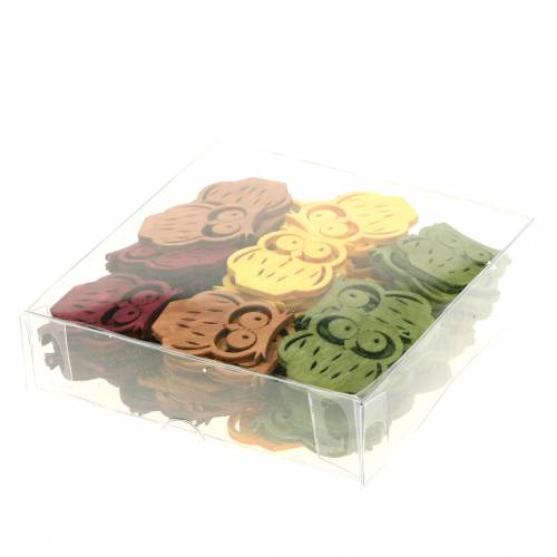 Floristik24 Decorazione a dispersione gufi in legno colori assortiti 4 cm 72 pz