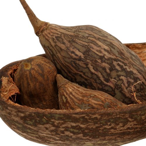 Floristik24 Miscela di frutti di baobab con guscio 300g
