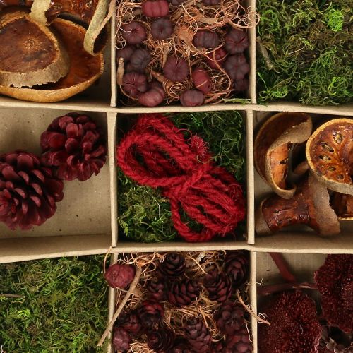 Exotic Mix Craft Kit