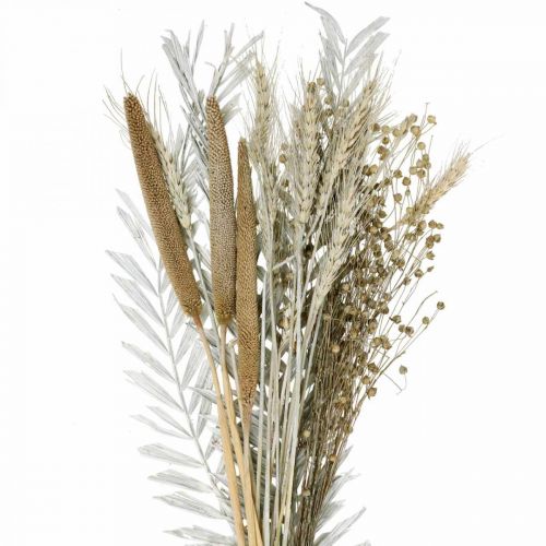 Floristik24 Fiori Secchi Scatola Fai Da Te Esotico Bouquet Secco Bianco, Naturale H55cm