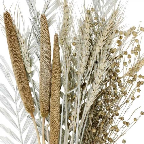 Floristik24 Fiori Secchi Scatola Fai Da Te Esotico Bouquet Secco Bianco, Naturale H55cm
