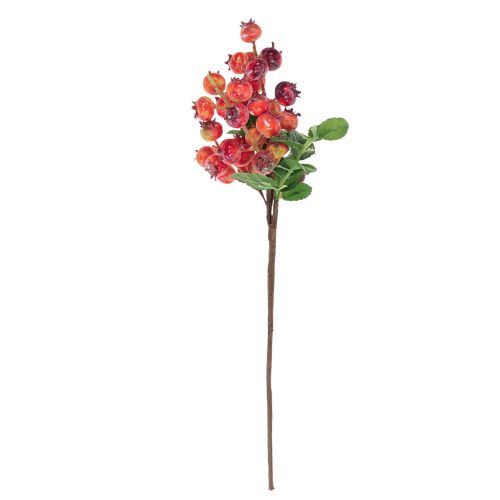 Prodotto Deco di rosa canina Ramo di rosa canina Ramo decorativo artificiale 35cm