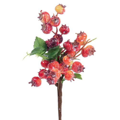 Floristik24 Deco di rosa canina Ramo di rosa canina Ramo decorativo artificiale 35cm