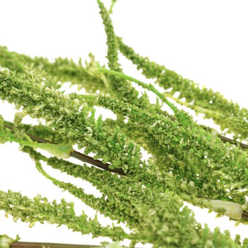 Floristik24 Pianta artificiale a coda di volpe a cascata verde amaranto verde 95 cm