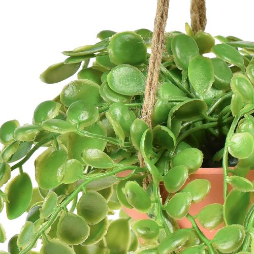 Prodotto Piante grasse artificiali in vaso Sedum cesto sospeso 34 cm