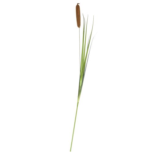 Prodotto Piante artificiali, tifa artificiale, decorazione in canna 92cm