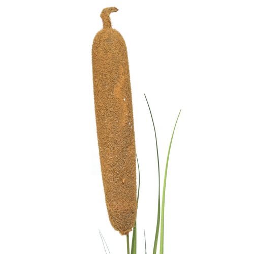 Prodotto Piante artificiali, tifa artificiale, decorazione in canna 92cm