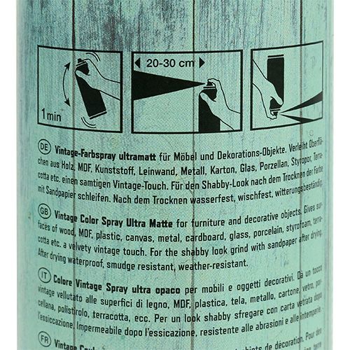 Floristik24 Colore Spray Verde Vintage 400ml