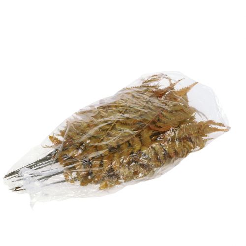Prodotto Felce artificiale colori autunnali 33 cm 12 pz