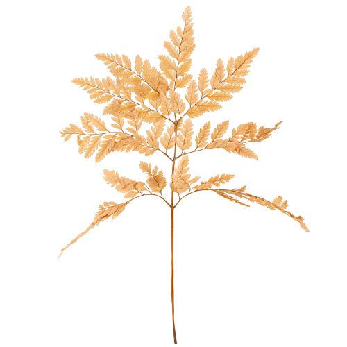 Prodotto Decorazione di felce vere fronde di felce arancione conservate 45 cm 10 pezzi
