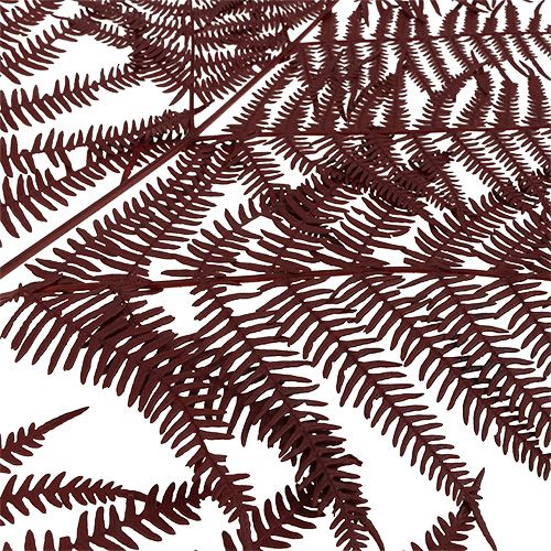 Floristik24 Felce colorata rossa 15 pz