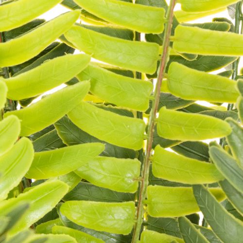 Ramo di felce artificiale, pianta verde artificiale per decorazione, 45 cm | Floristik24.it