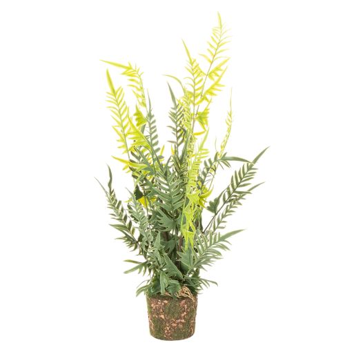 Pianta di felce artificiale con zolla di radici per decorazione di casa e ufficio, 57 cm acquistare | Floristik24.it