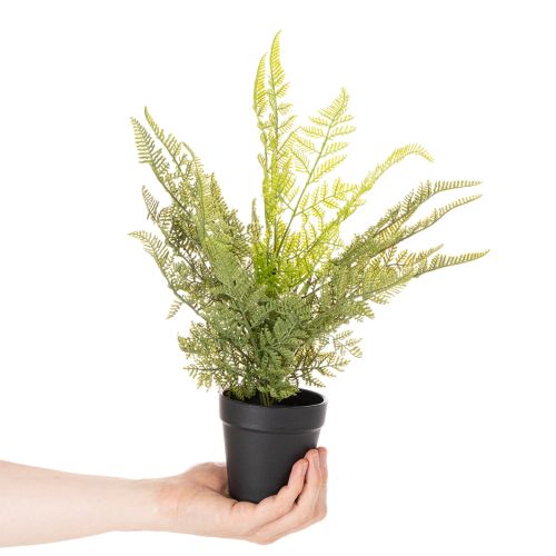 Pianta di felce artificiale in vaso per interni, 40 cm | Floristik24.it