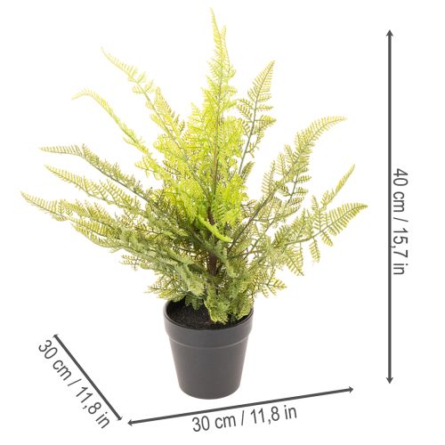 Pianta di felce artificiale in vaso per interni, 40 cm | Floristik24.it
