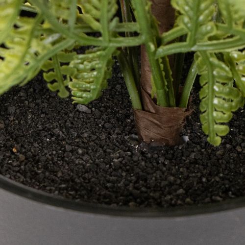 Pianta di felce artificiale in vaso per interni, 40 cm | Floristik24.it
