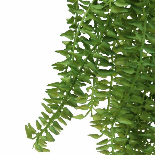 Floristik24 Felce appesa verde artificiale 120 cm 7 fili
