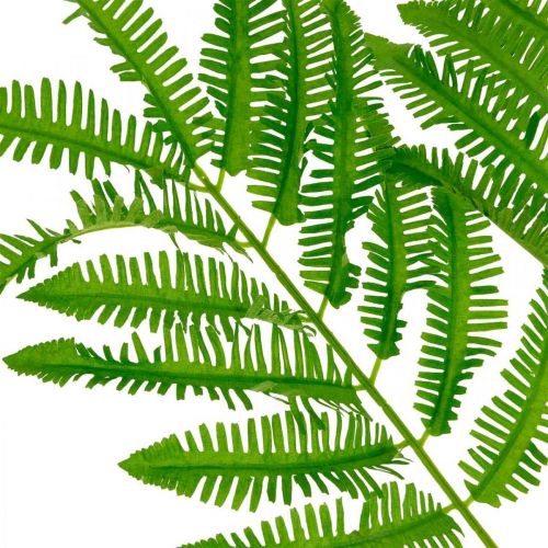 Floristik24 Foglie di felce verde, foglie di felce 3 su ramo, Milkweed L96cm