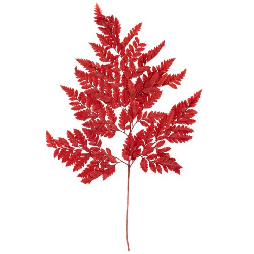 Fronde di felce conservate e tinte, vere felci per composizioni autunnali, 42 cm, 10 pezzi