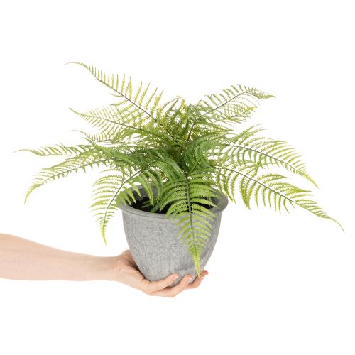 Felce artificiale in vaso per soggiorno e ufficio, 35 cm | Floristik24.it
