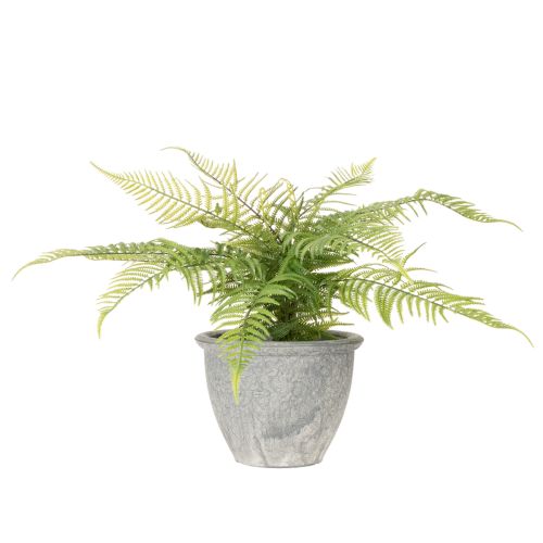 Felce artificiale in vaso per soggiorno e ufficio, 35 cm | Floristik24.it
