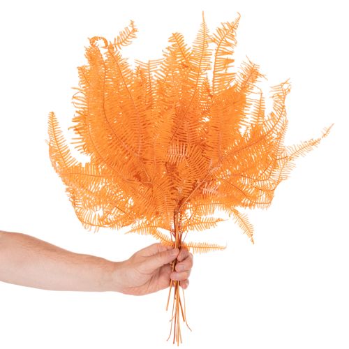 Ramo di felce, felce conservata, decorazione essiccata per composizioni, 60 cm, 10 pezzi | Floristik24.it