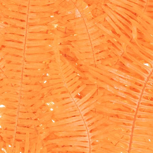 Ramo di felce, felce conservata, decorazione essiccata per composizioni, 60 cm, 10 pezzi | Floristik24.it