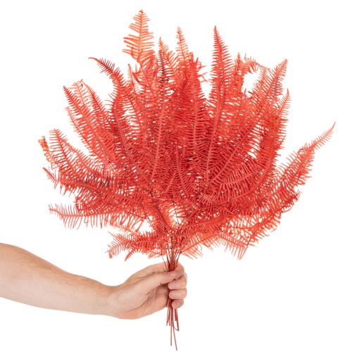 Felci, fiori secchi conservati, decorazione autunnale, 60 cm, 10 pezzi | Floristik24.it