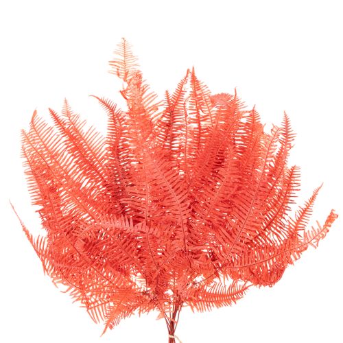 Felci, fiori secchi conservati, decorazione autunnale, 60 cm, 10 pezzi | Floristik24.it