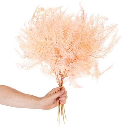 Fronde di felce essiccate, decorazione per vasi, 60 cm, 10 pezzi | Floristik24.it
