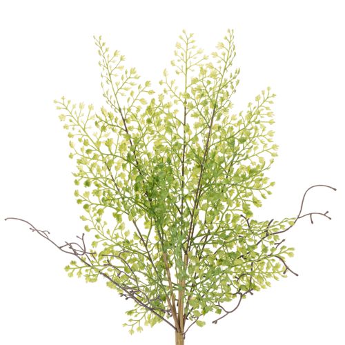Ramo artificiale di Ruscus verde per decorazioni floreali, 41 cm acquistare | Floristik24.it