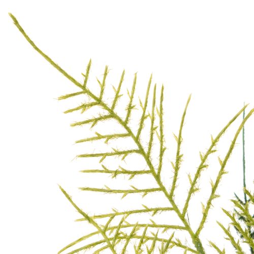 Decorazione artificiale a forma di ramo di felce, verde, realistica, 56 cm | Floristik24.it
