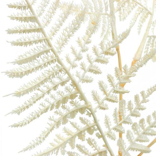 Floristik24 Foglia di felce decorativa, pianta artificiale, ramo di felce, foglia di felce decorativa bianca L59cm