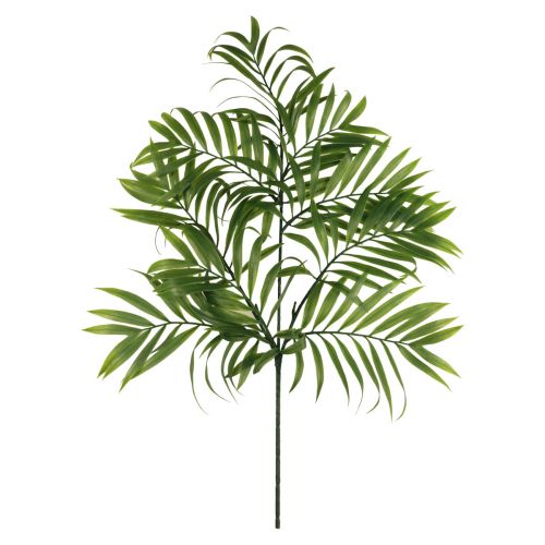 Floristik24 Decorazione della palma fronde di palma piante artificiali verdi 56 cm 3 pezzi